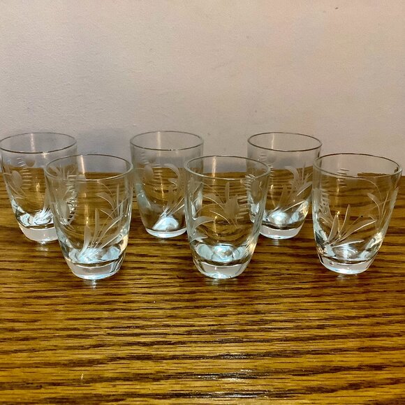 Set of 6 Shot glasses. Etched Flower Leaf Design - Picture 1 of 7